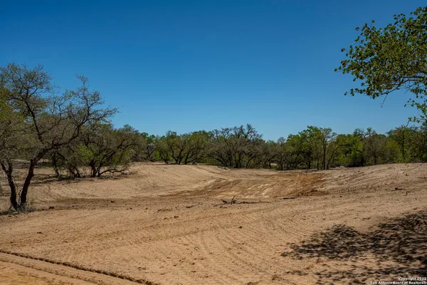 a view of empty space with large trees