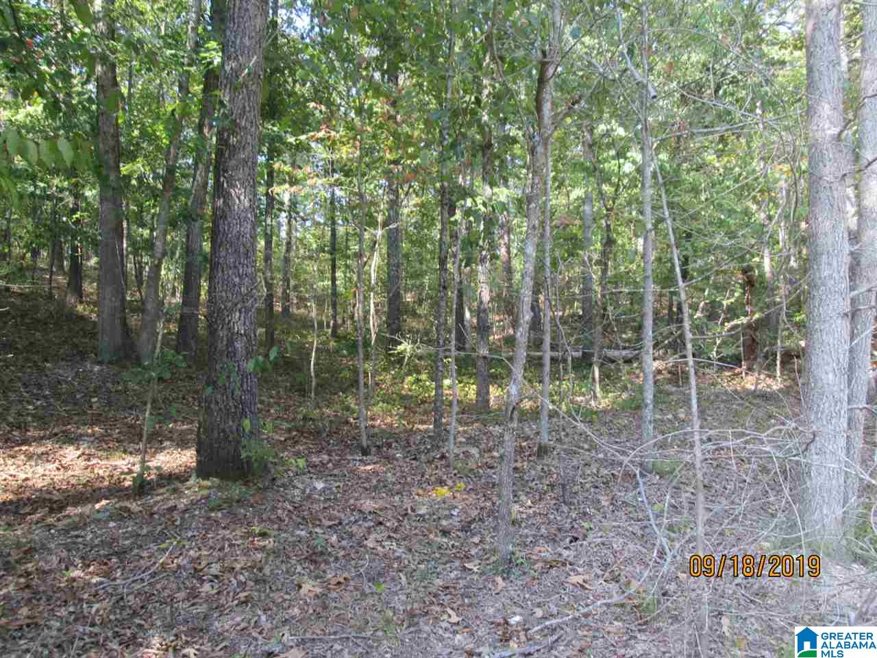 86 Red Valley Circle Remlap, AL 35133 - Photo 44 of 46