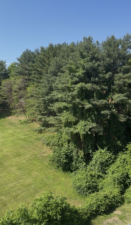 1500 Worcester Road, Unit 405 Framingham, MA 01702 - Photo 20 of 31