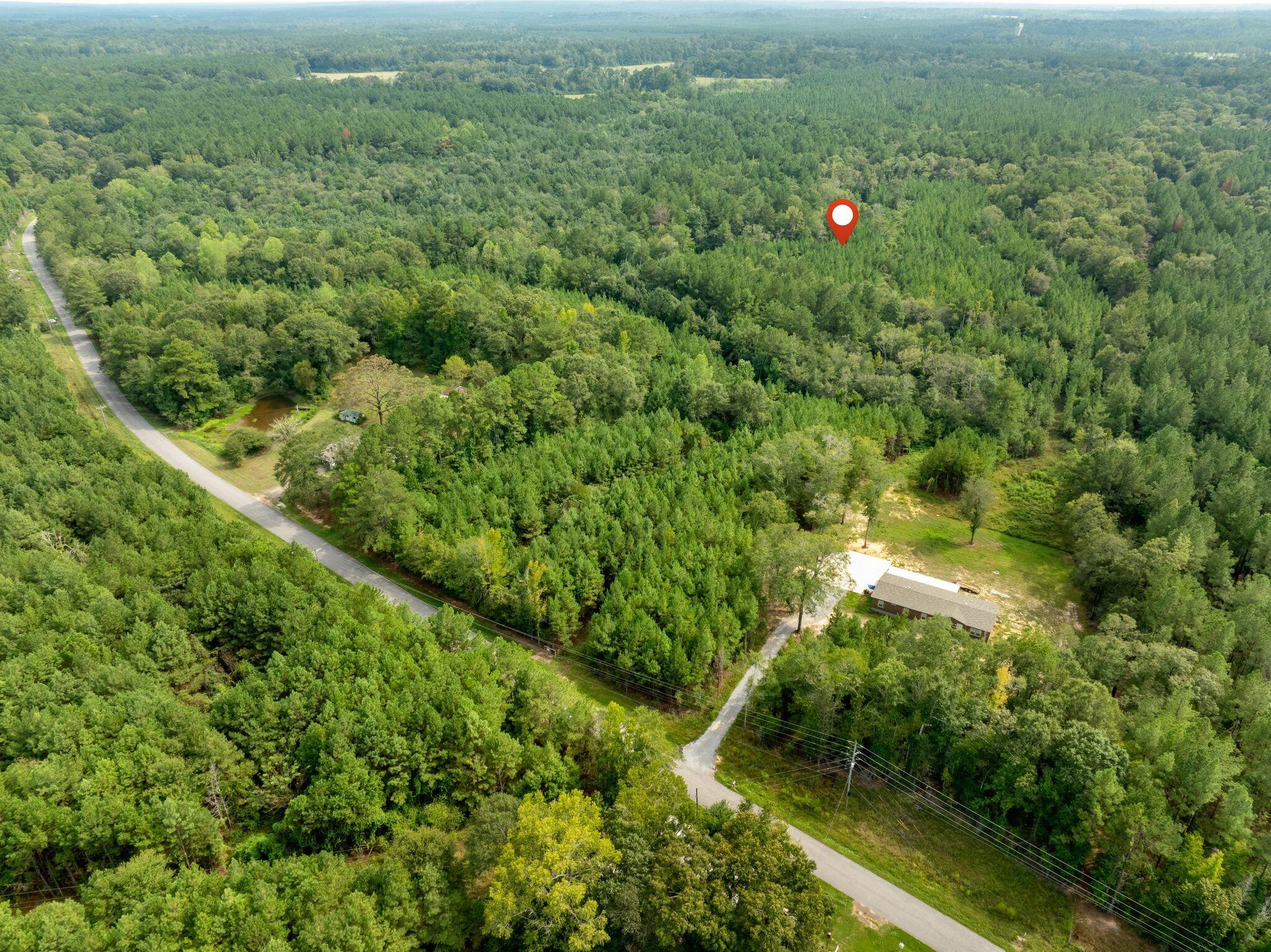 0 Davis Road Purvis, MS 39475 - Photo 8 of 21 Gallery Image 8