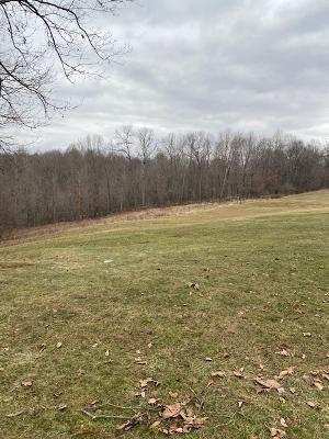 2308 Hickory Grove Road Oak Hill, OH 45656 - Photo 8 of 53 thumbnail (8)