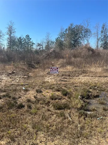 a view of a town with trees in the background