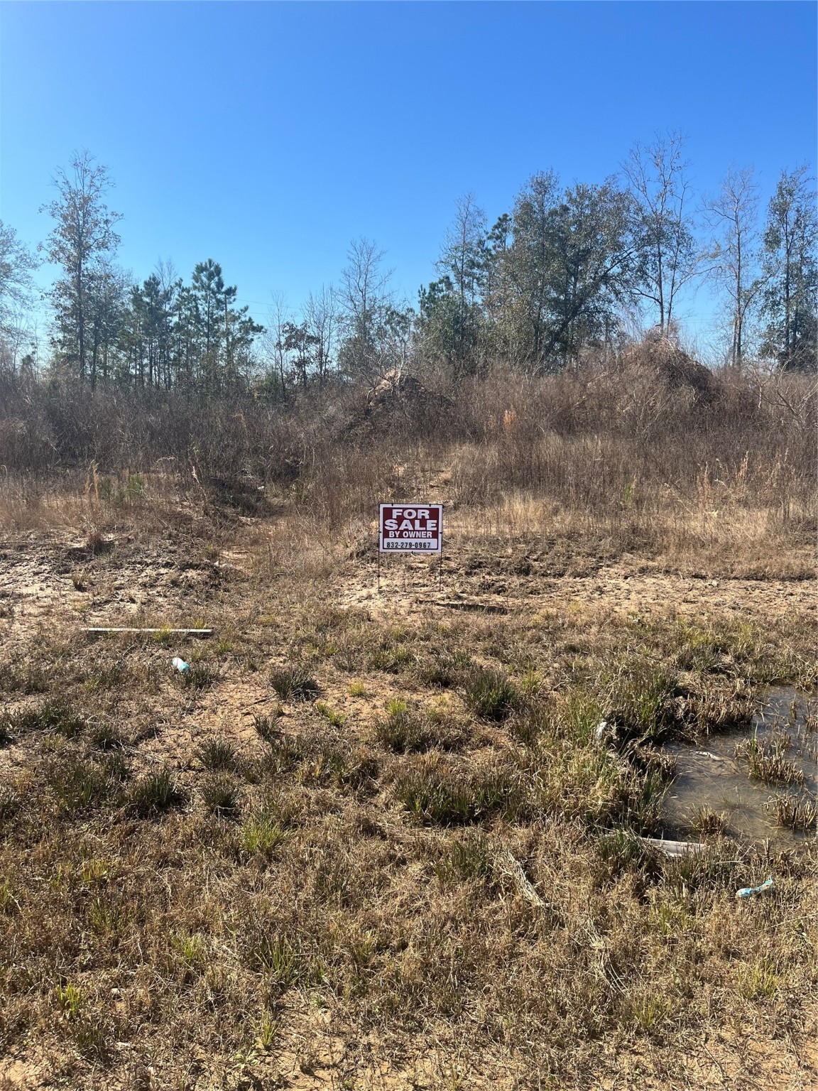 a view of a town with trees in the background