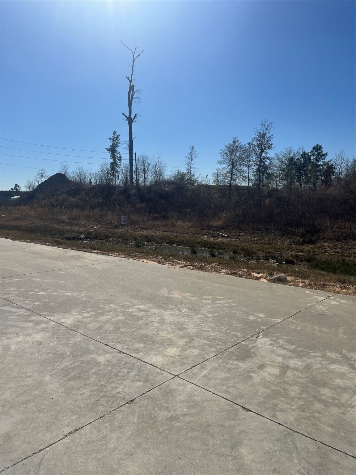 470 5914 29 Splendora, TX 77372 - Photo 2 of 10 a view of a yard
