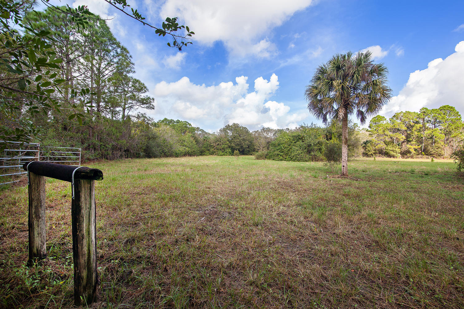 10200 175th Road North Jupiter, FL 33478 - Photo 13 of 32 Corral