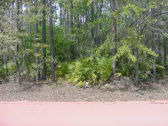 Lot 6 Sweetwater Road Freeport, FL 32439 - Photo 1 of 1 Gallery Image 1