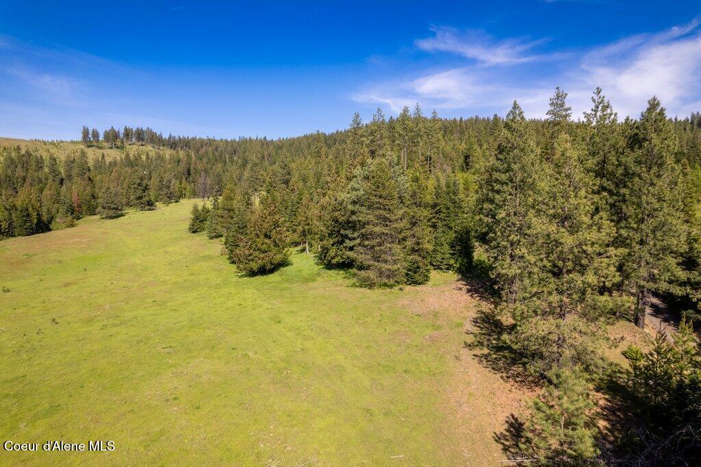Nka Waddell Road St. Maries, ID 83861 - Photo 11 of 22 011-nkanextto1312WaddellRoad-SaintMaries