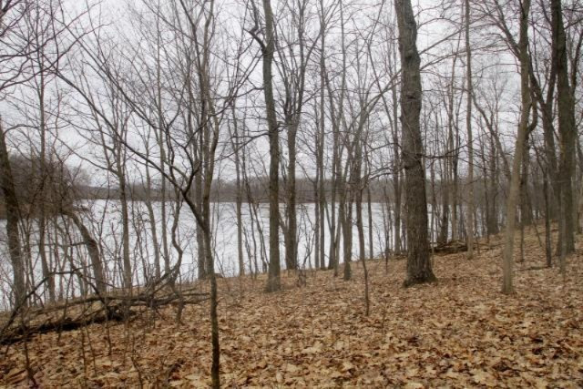 13202 Gilkey Lake Road Delton, MI 49046 - Photo 11 of 20 GL Pond