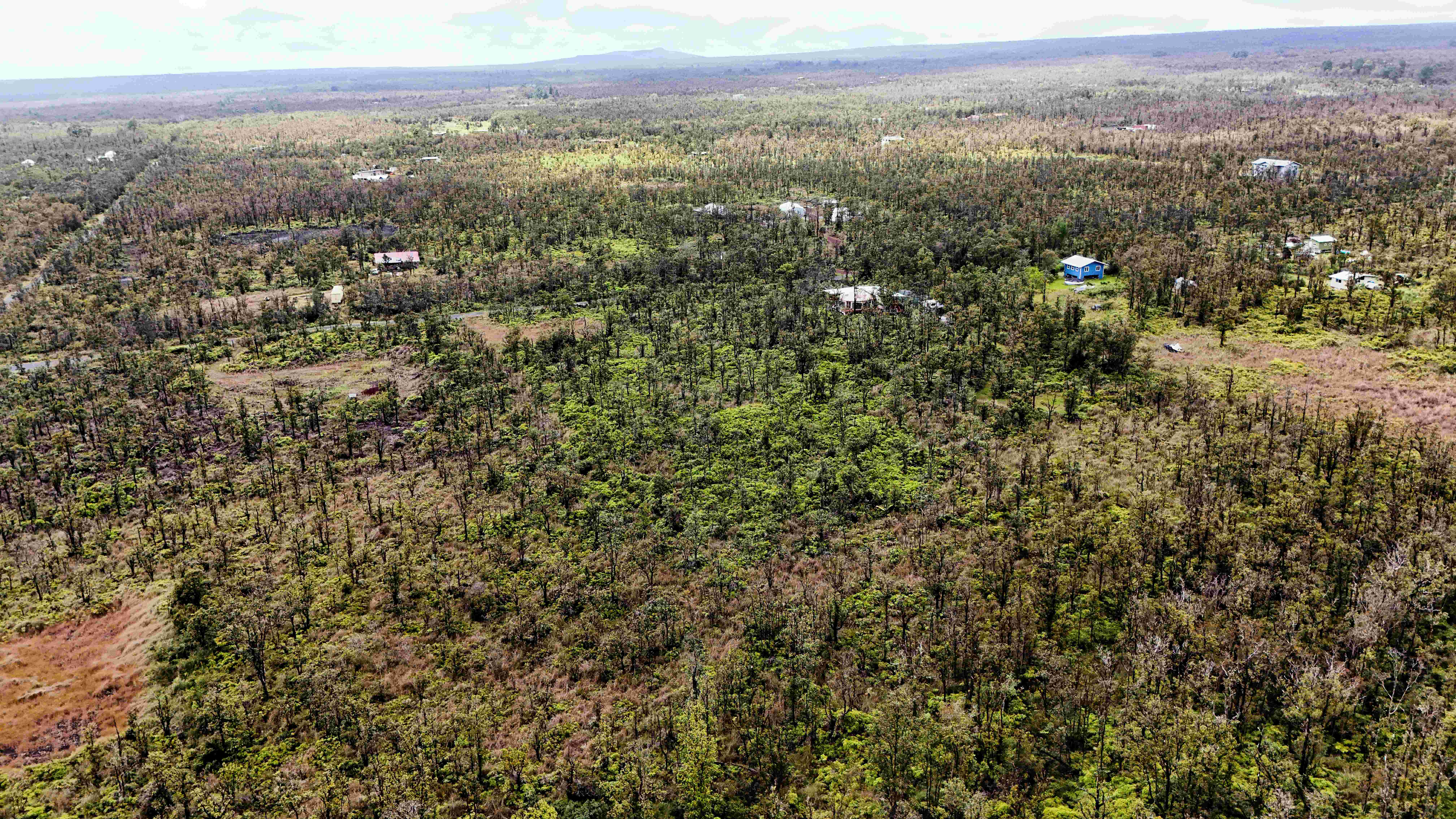 48 Omeka Road Mountain View, HI 96771 - Photo 5 of 8 a view of a city with lush green forest