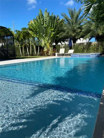 a view of a park with palm trees