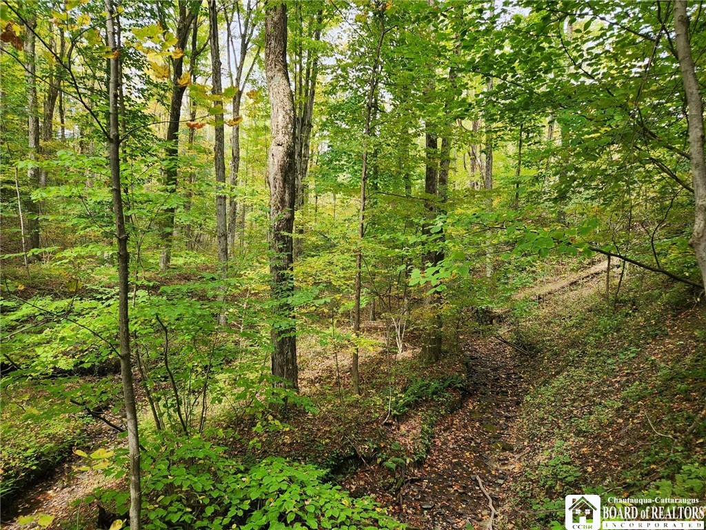 0 Rt-83 Fredonia, NY 14063 - Photo 3 of 10