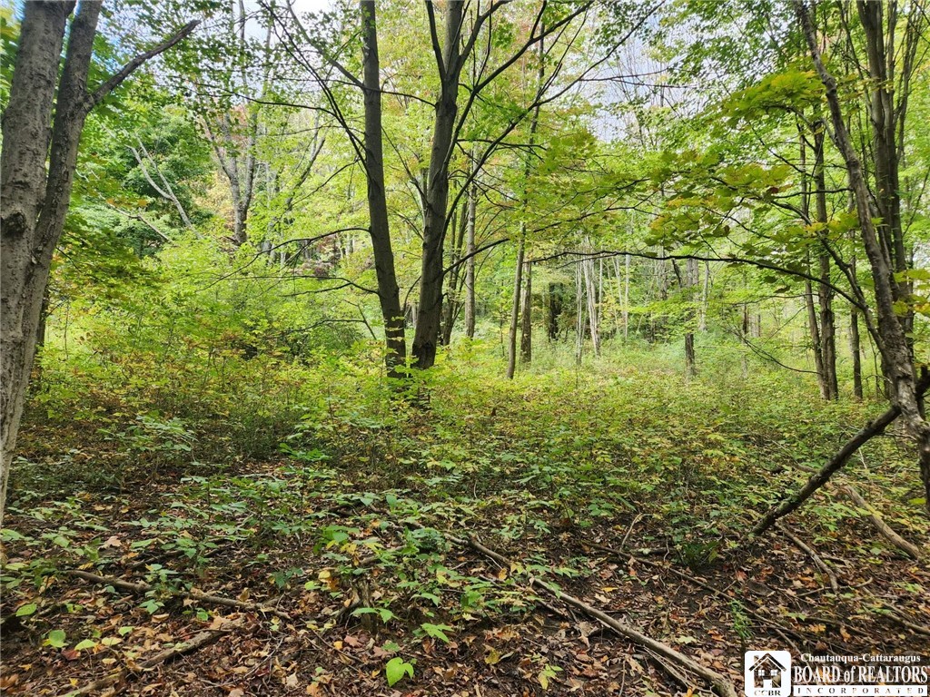 0 Rt-83 Fredonia, NY 14063 - Photo 5 of 10