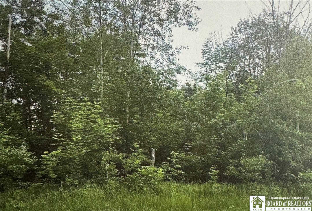 0 Rt-83 Fredonia, NY 14063 - Photo 6 of 10