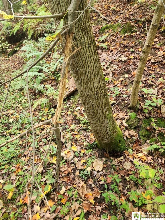 0 Rt-83 Fredonia, NY 14063 - Photo 7 of 10