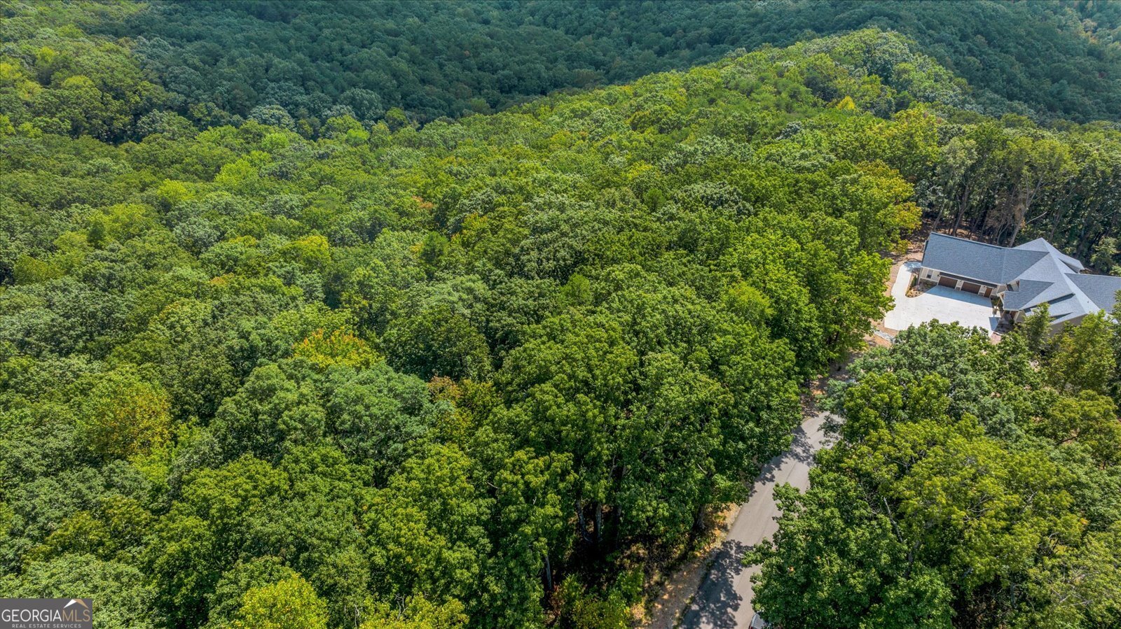 Lot 54 Mountainside Drive Cleveland, GA 30528 - Photo 4 of 14 an aerial view of residential house with outdoor space and trees all around