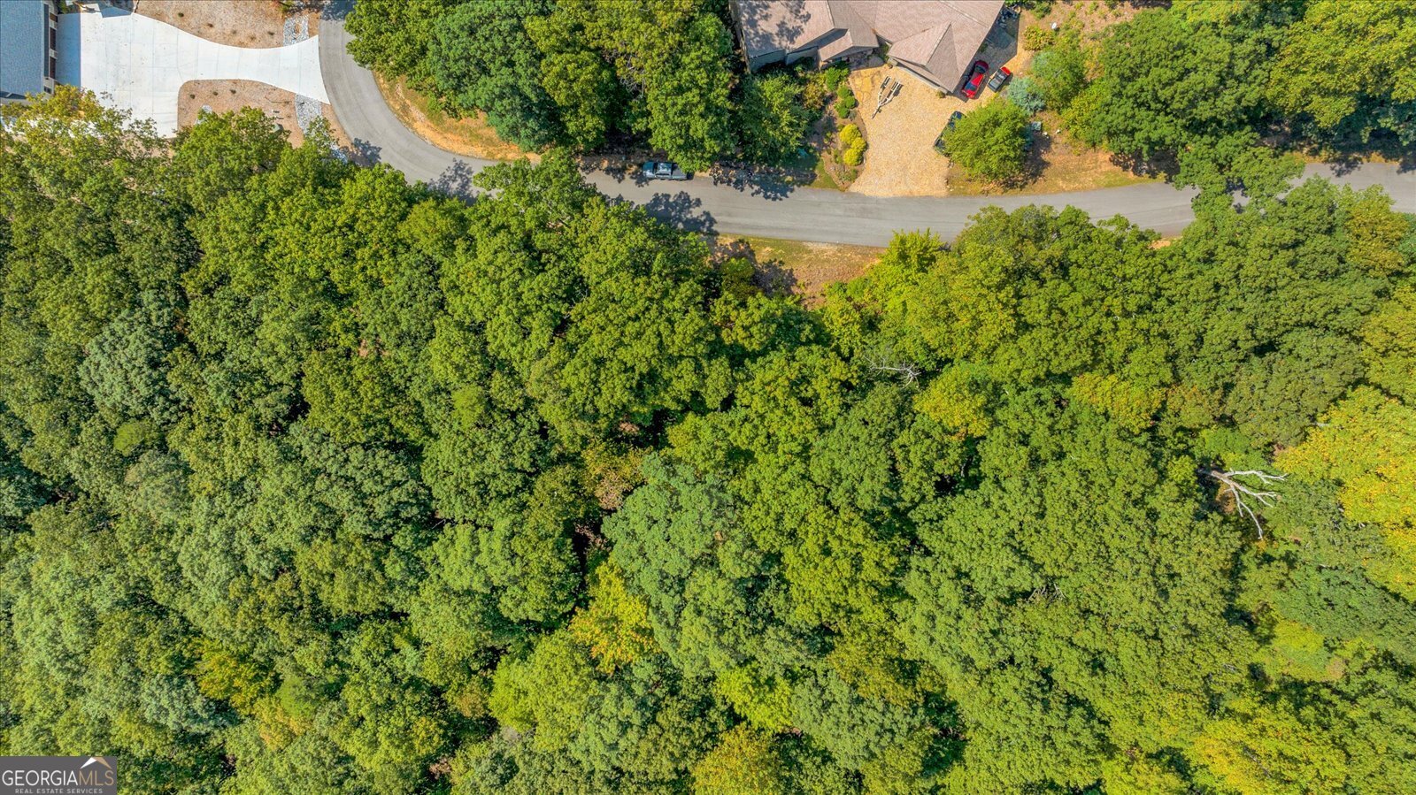 Lot 54 Mountainside Drive Cleveland, GA 30528 - Photo 5 of 14 a view of a yard with a tree