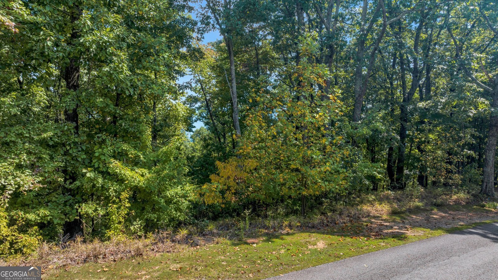 Lot 54 Mountainside Drive Cleveland, GA 30528 - Photo 6 of 14 a view of a yard