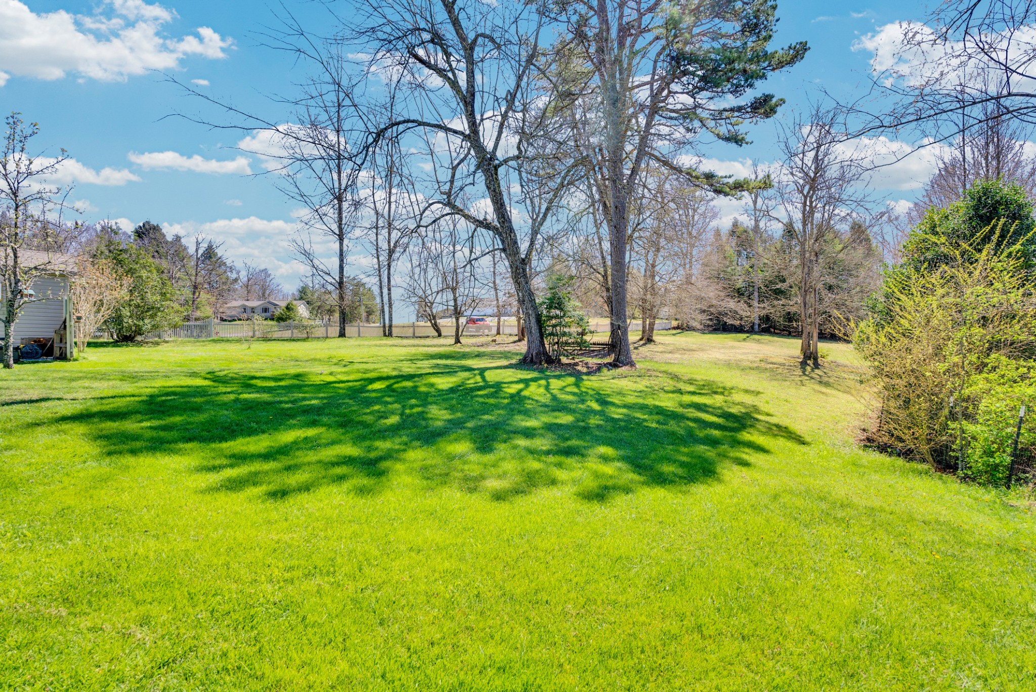 105 Dripping Springs Road Monterey, TN 38574 - Photo 31 of 49 a yard with trees in the background