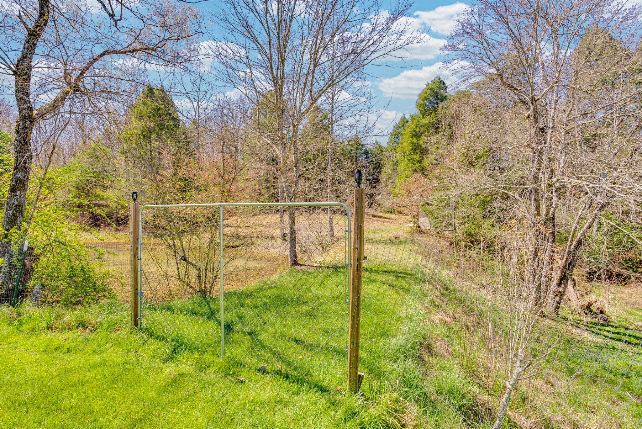 105 Dripping Springs Road Monterey, TN 38574 - Photo 32 of 49 a view of yard with swimming pool