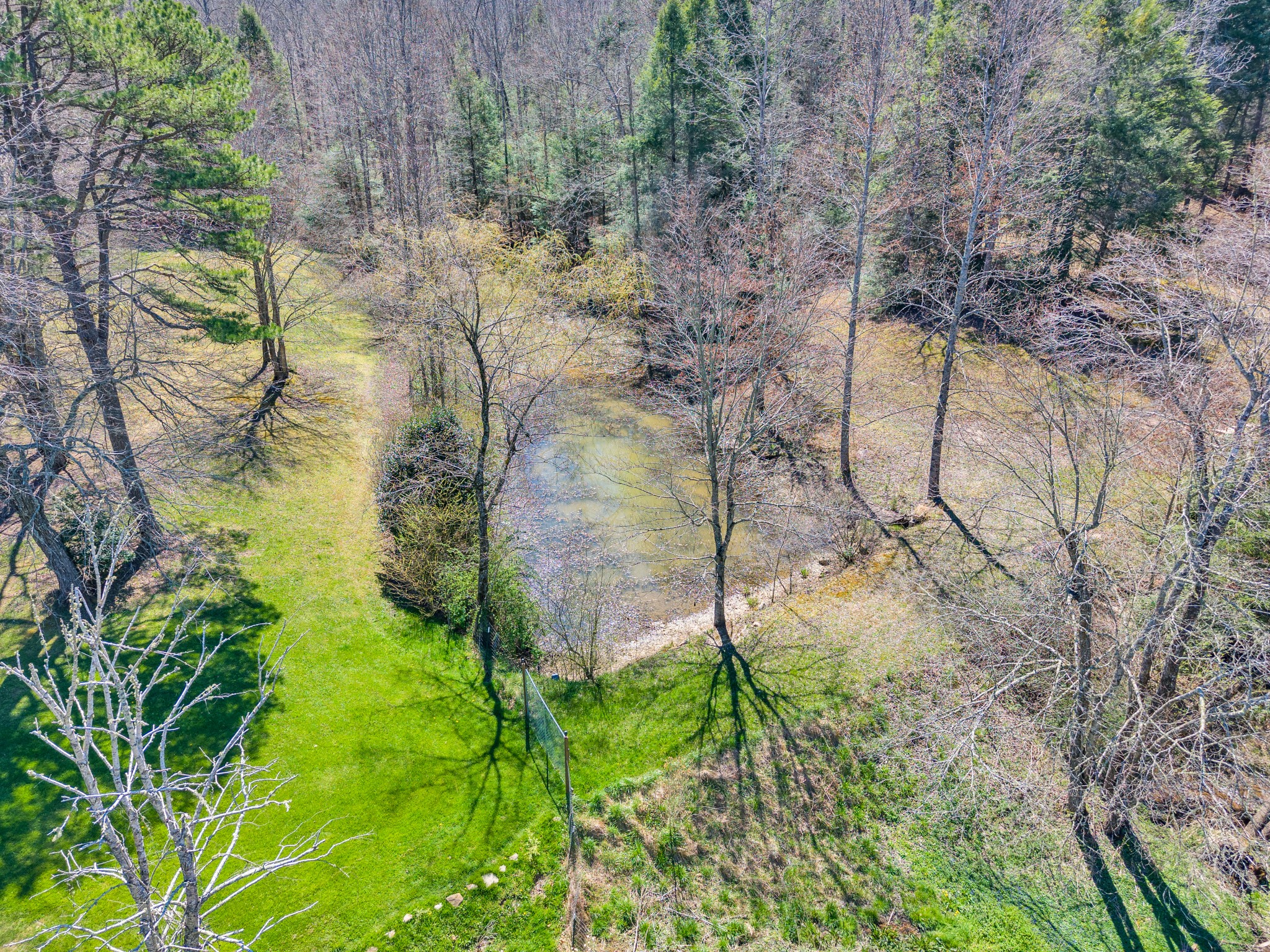 105 Dripping Springs Road Monterey, TN 38574 - Photo 43 of 49 a backyard of a building with lots of green space
