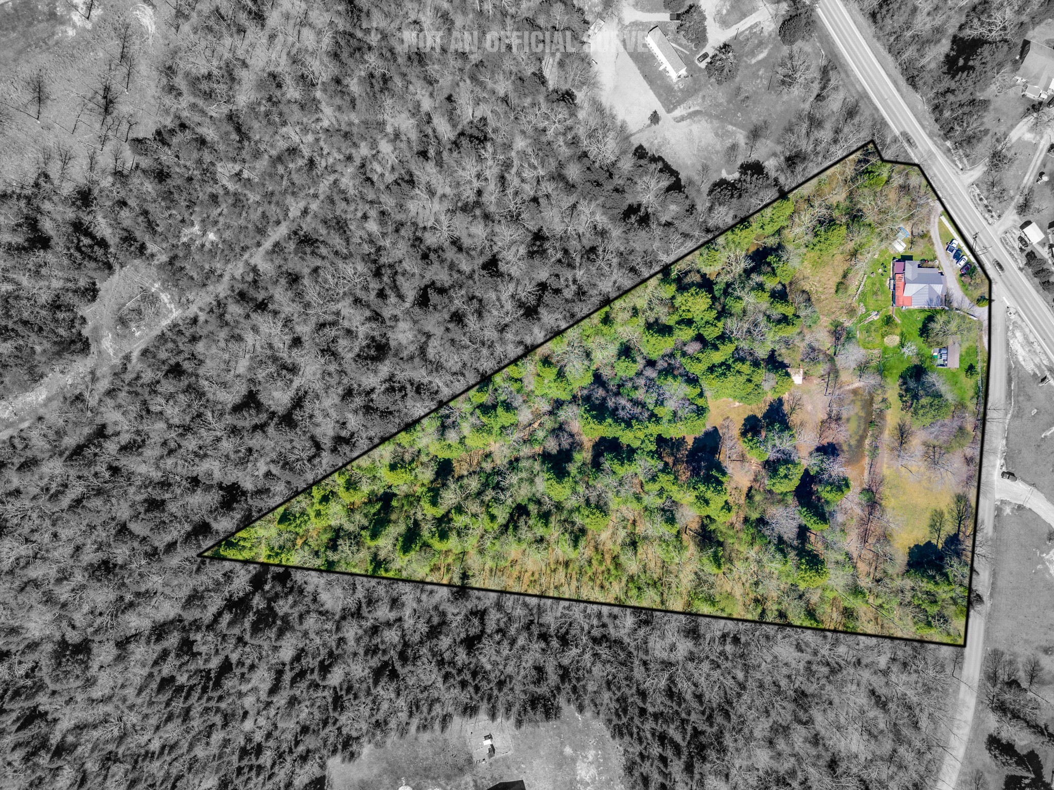 105 Dripping Springs Road Monterey, TN 38574 - Photo 48 of 49 a picture of a yard with plants