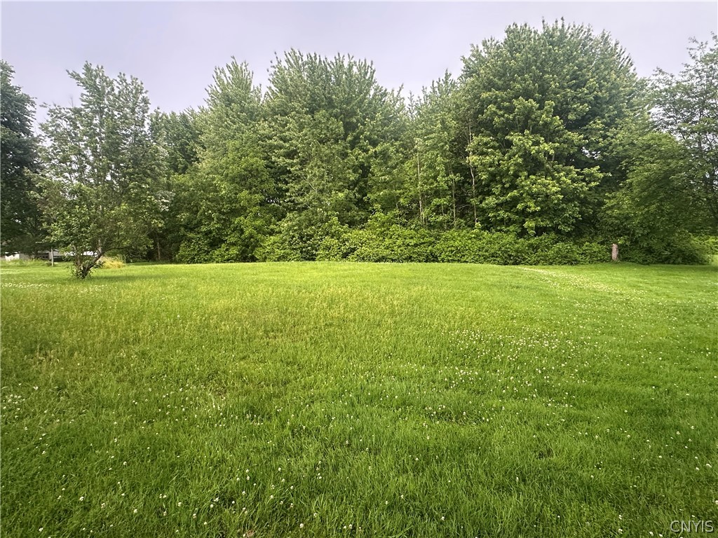 8966 Lestina Beach Road Sullivan, NY 13030 - Photo 4 of 7