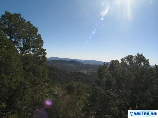 9 Radio Tower Road Silver City, NM 88053 - Photo 16 of 30 Gallery Image 16