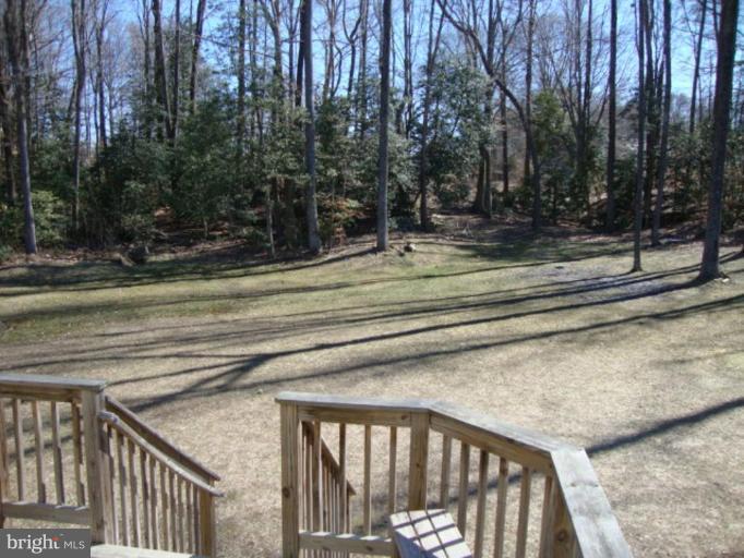 9156 Mullen Road King George, VA 22485 - Photo 17 of 29 Back yard