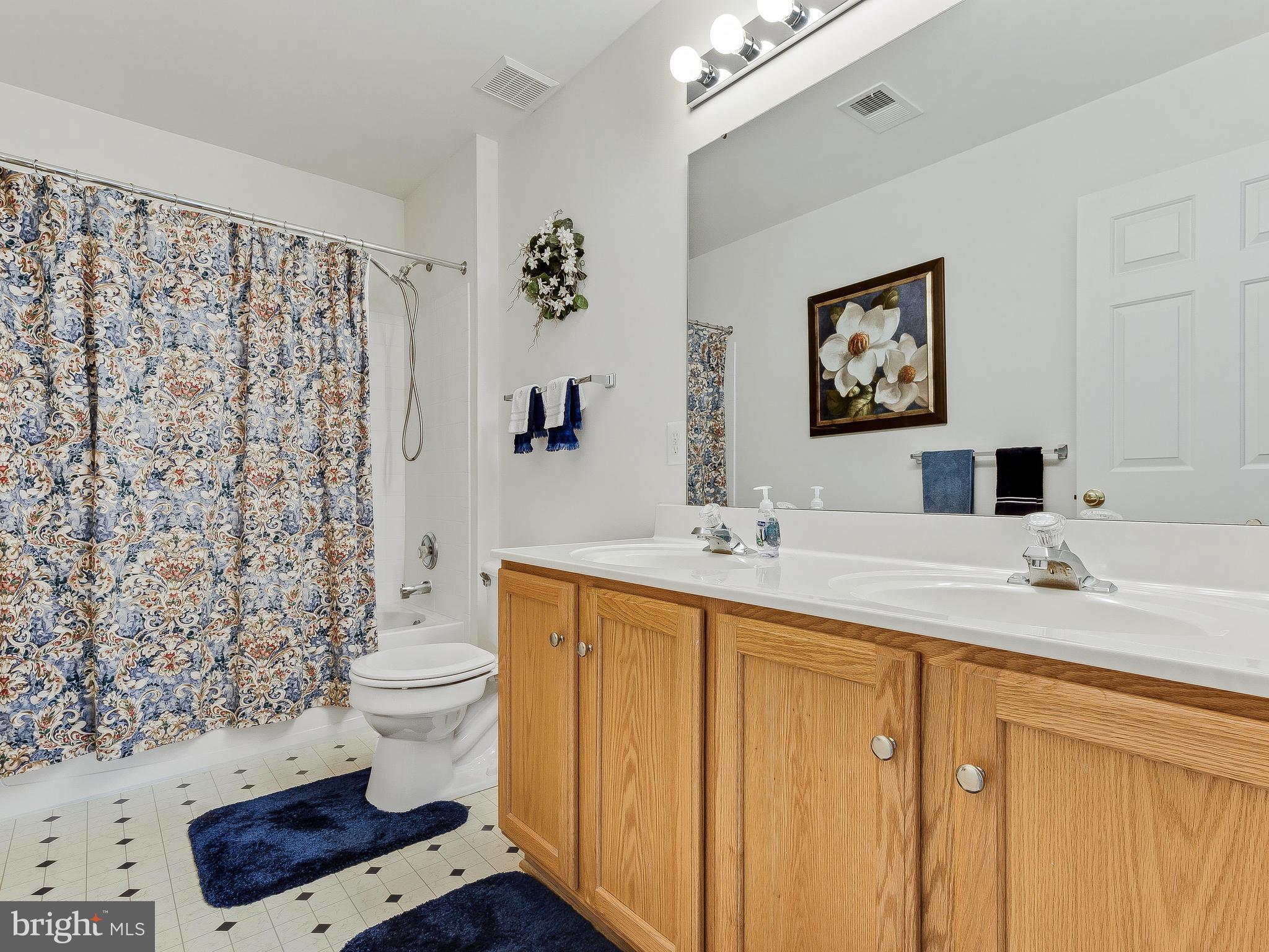 18732 Olney Mill Road Olney, MD 20832 - Photo 14 of 20 Full Bath