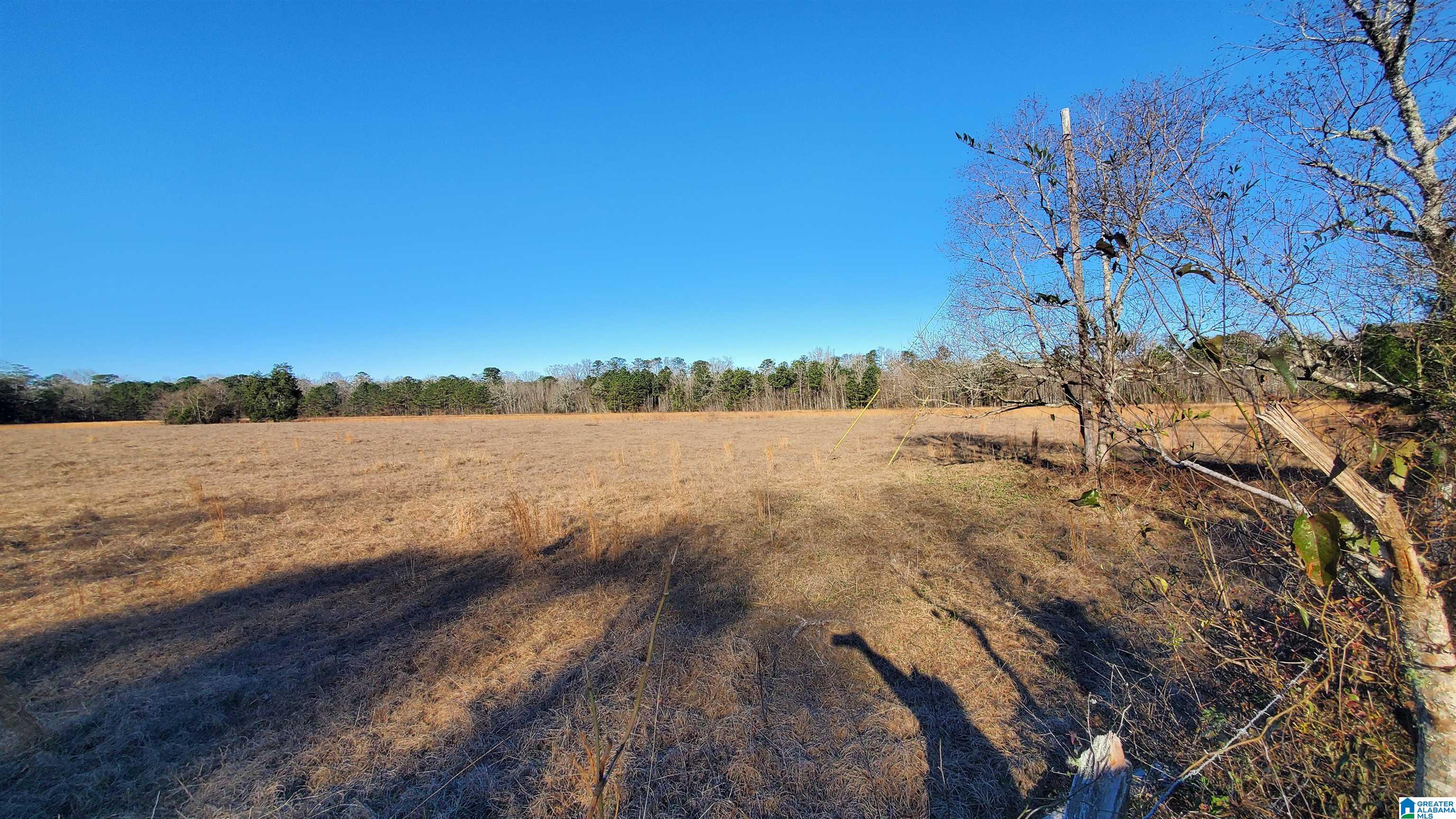 Sandtown Road, Unit 1 Millbrook, AL 36054 - Photo 1 of 11