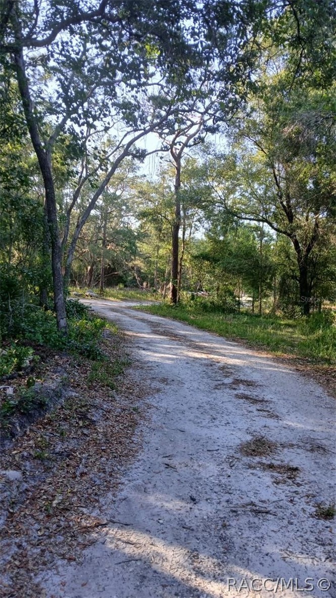 0 Tbd Webster, FL 33597 - Photo 2 of 7
