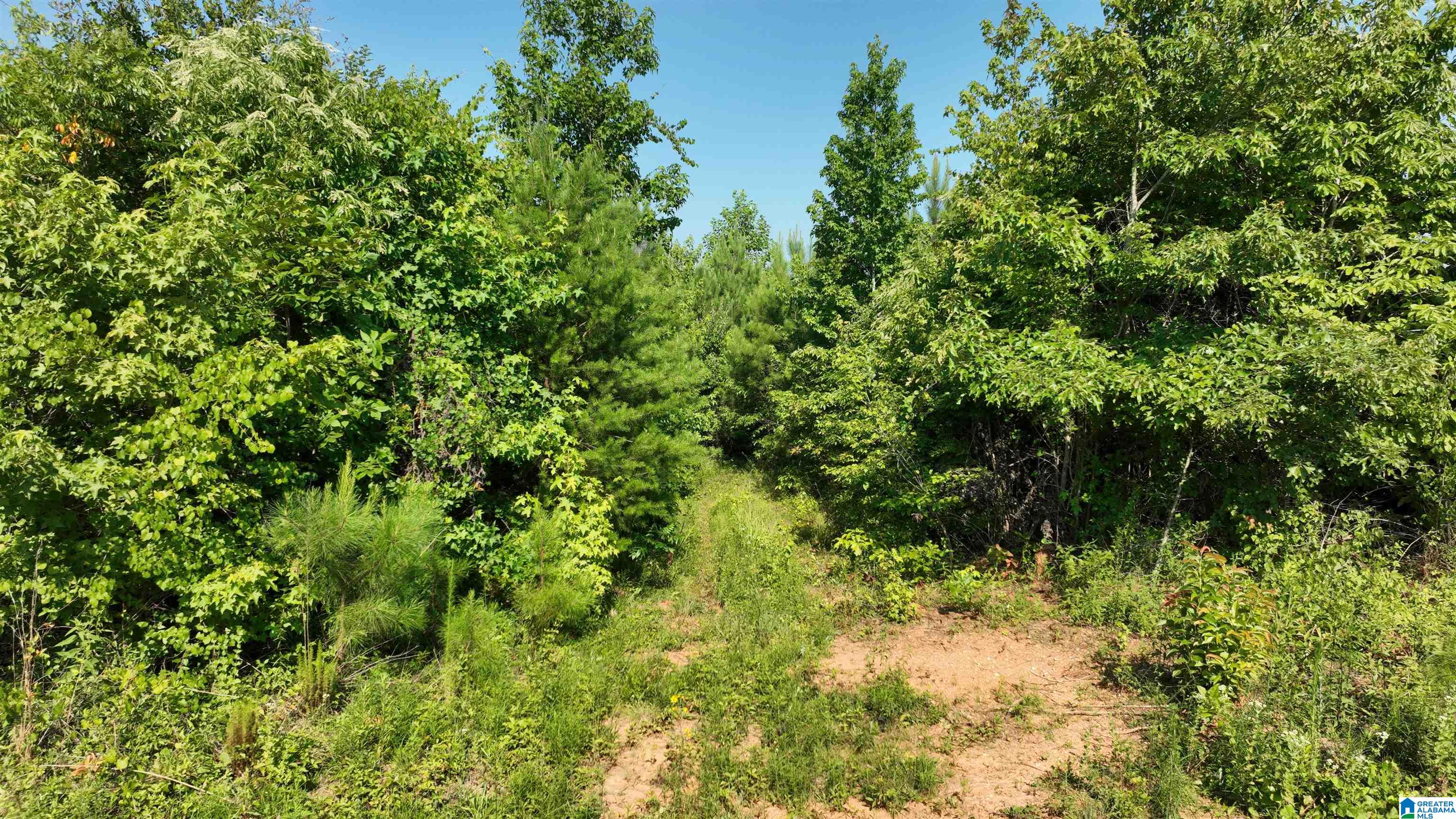 2 County Road 253, Unit 2 Clanton, AL 35046 - Photo 39 of 40