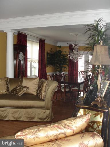 4801 Broom Drive Olney, MD 20832 - Photo 9 of 19 a living room with furniture and a potted plant