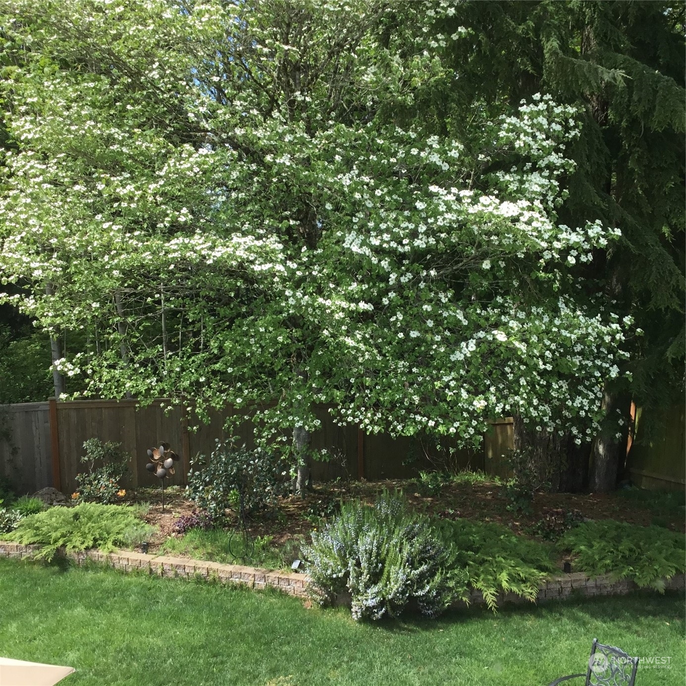 21710 31st Drive Southeast Bothell, WA 98021 - Photo 33 of 35 a view of yard with green space