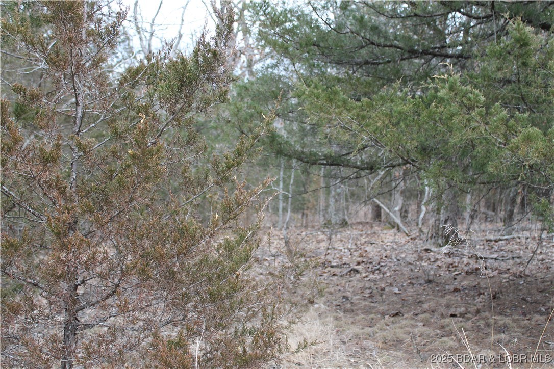 Toriyama Place, Unit 3694 Edwards, MO 65326 - Photo 1 of 9 #3694 Toriyama Pl