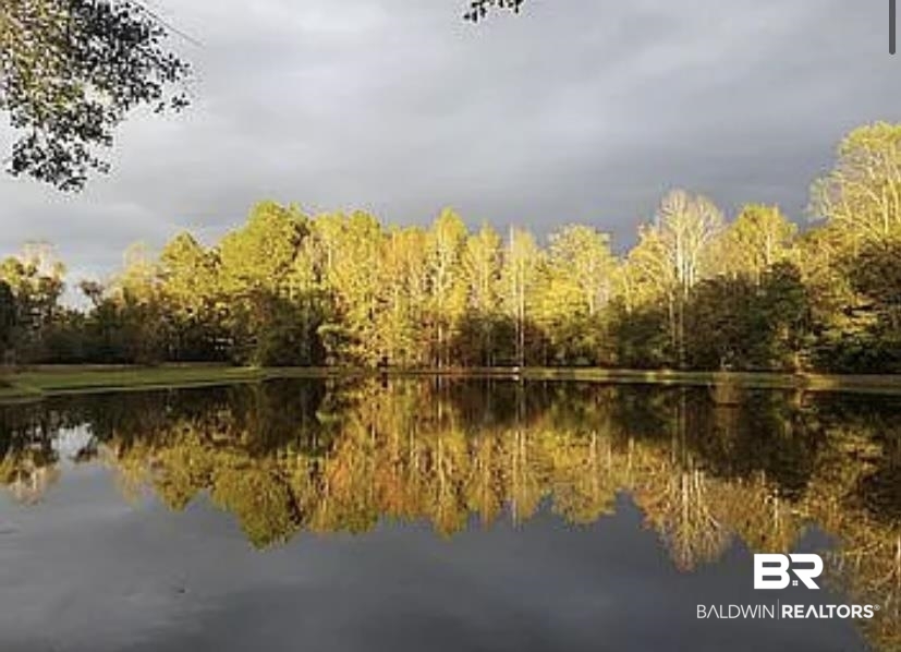 261 Lake Drive Evergreen, AL 36401 - Photo 2 of 46