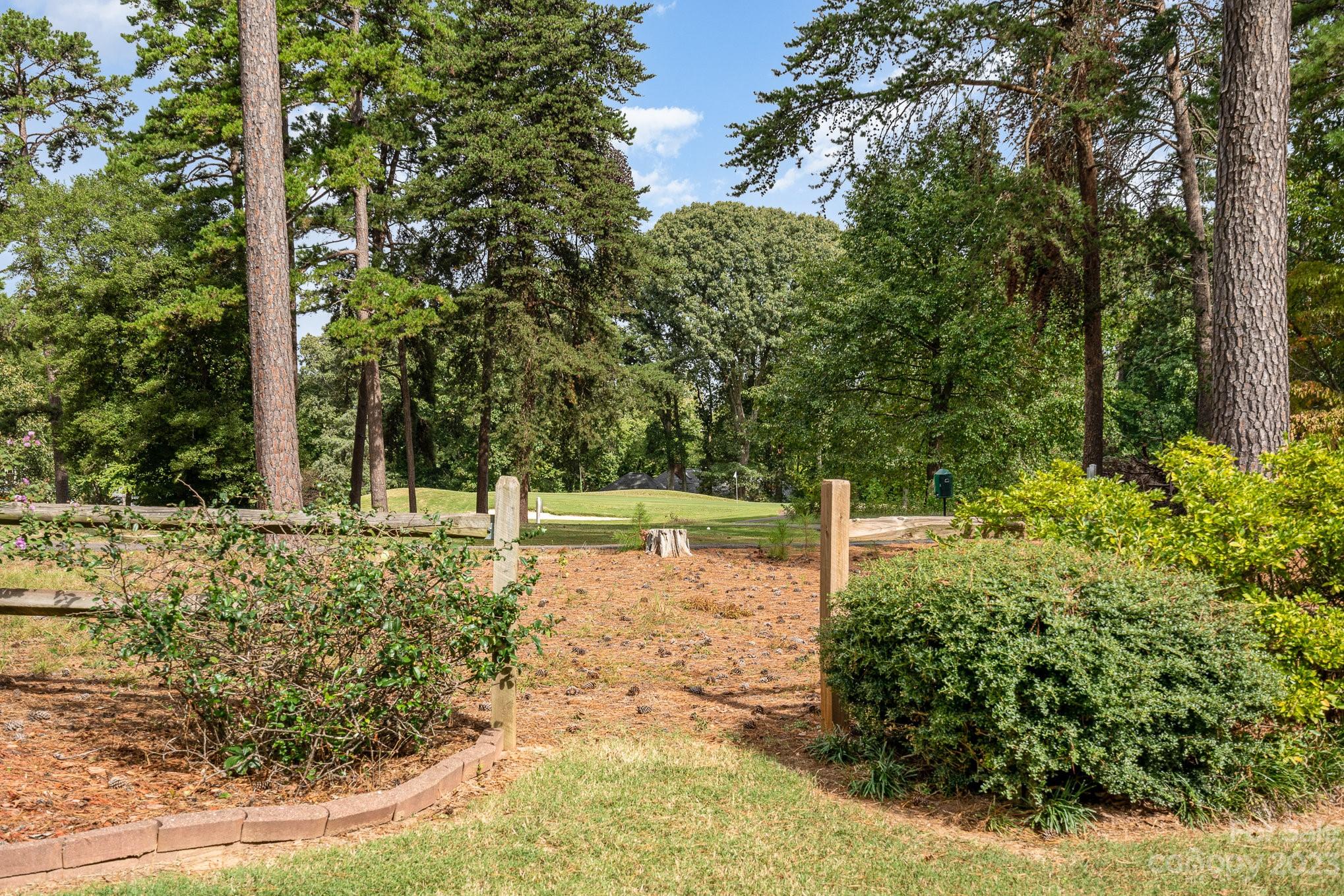 8229 Fairfield Forest Road Denver, NC 28037 - Photo 5 of 41 a view of a tree with back yard