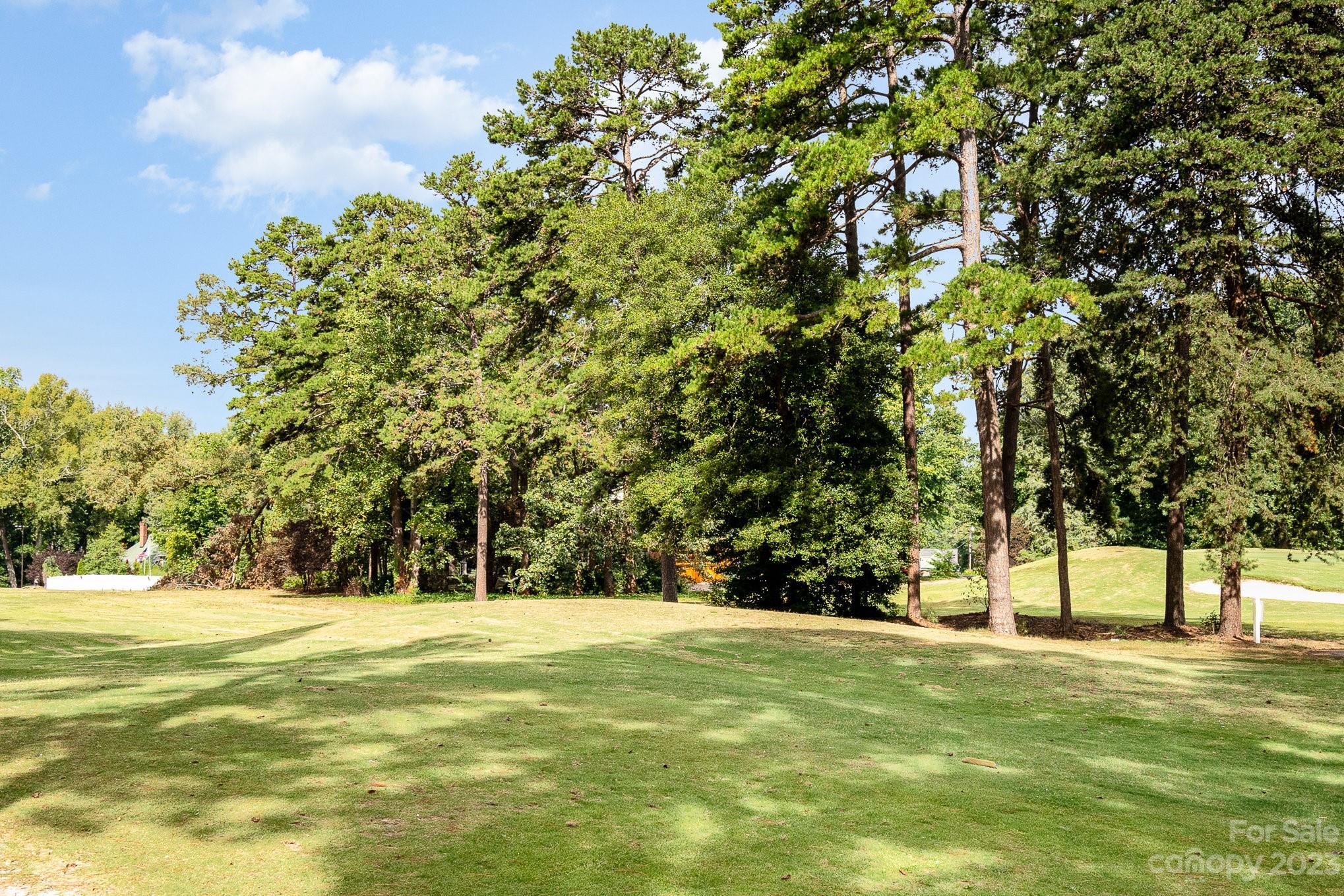 8229 Fairfield Forest Road Denver, NC 28037 - Photo 6 of 41 a view of yard with trees