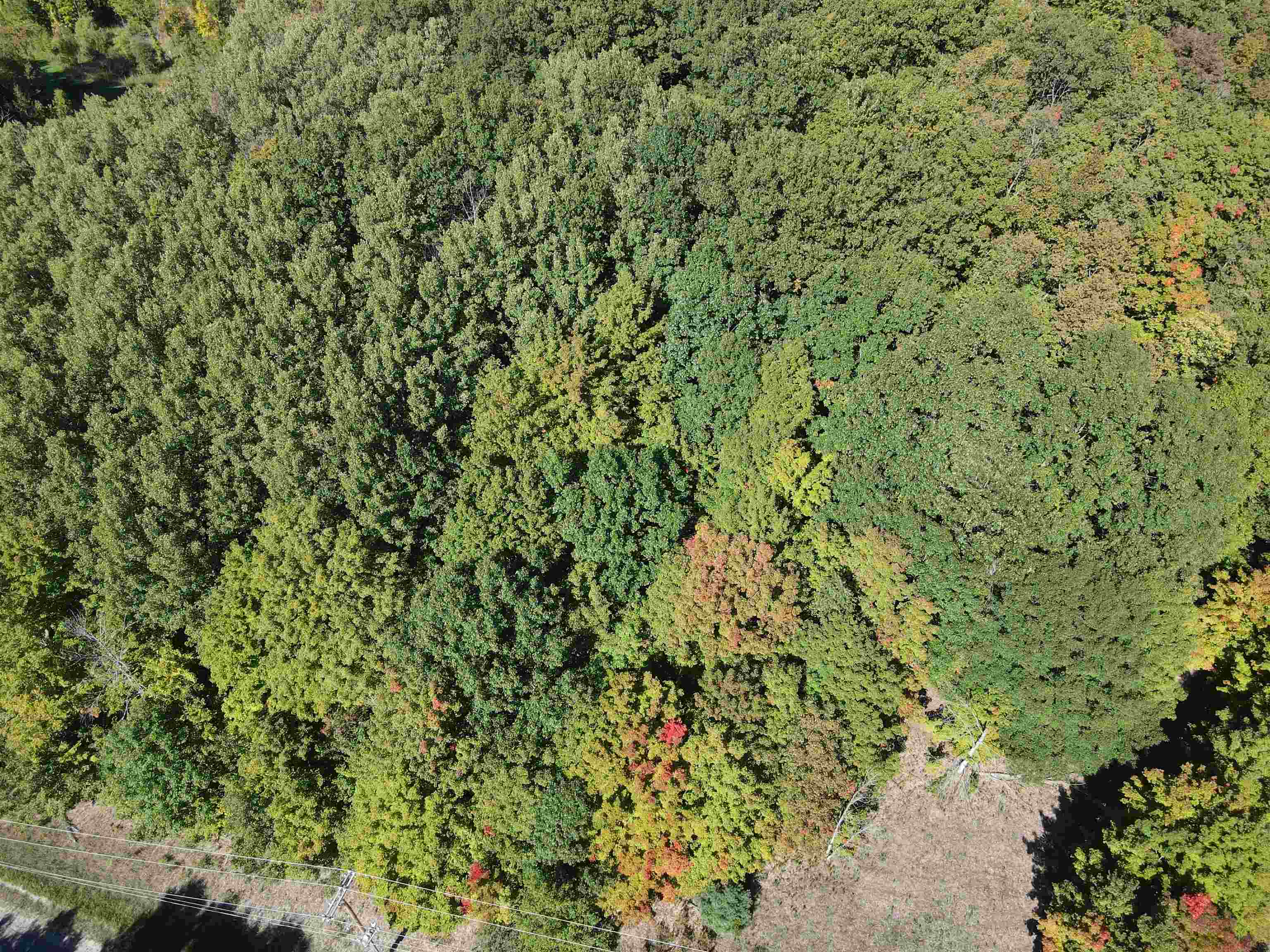 0 East Old Mountain Road Cedar, MI 49621 - Photo 12 of 14 1916269-11.JPG