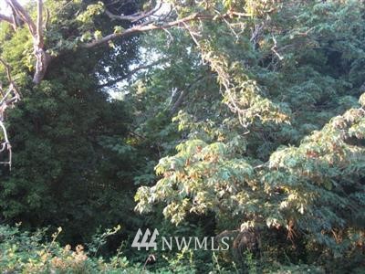 70 Lopez Way Point Roberts, WA 98281 - Photo 1 of 1 a picture of tree