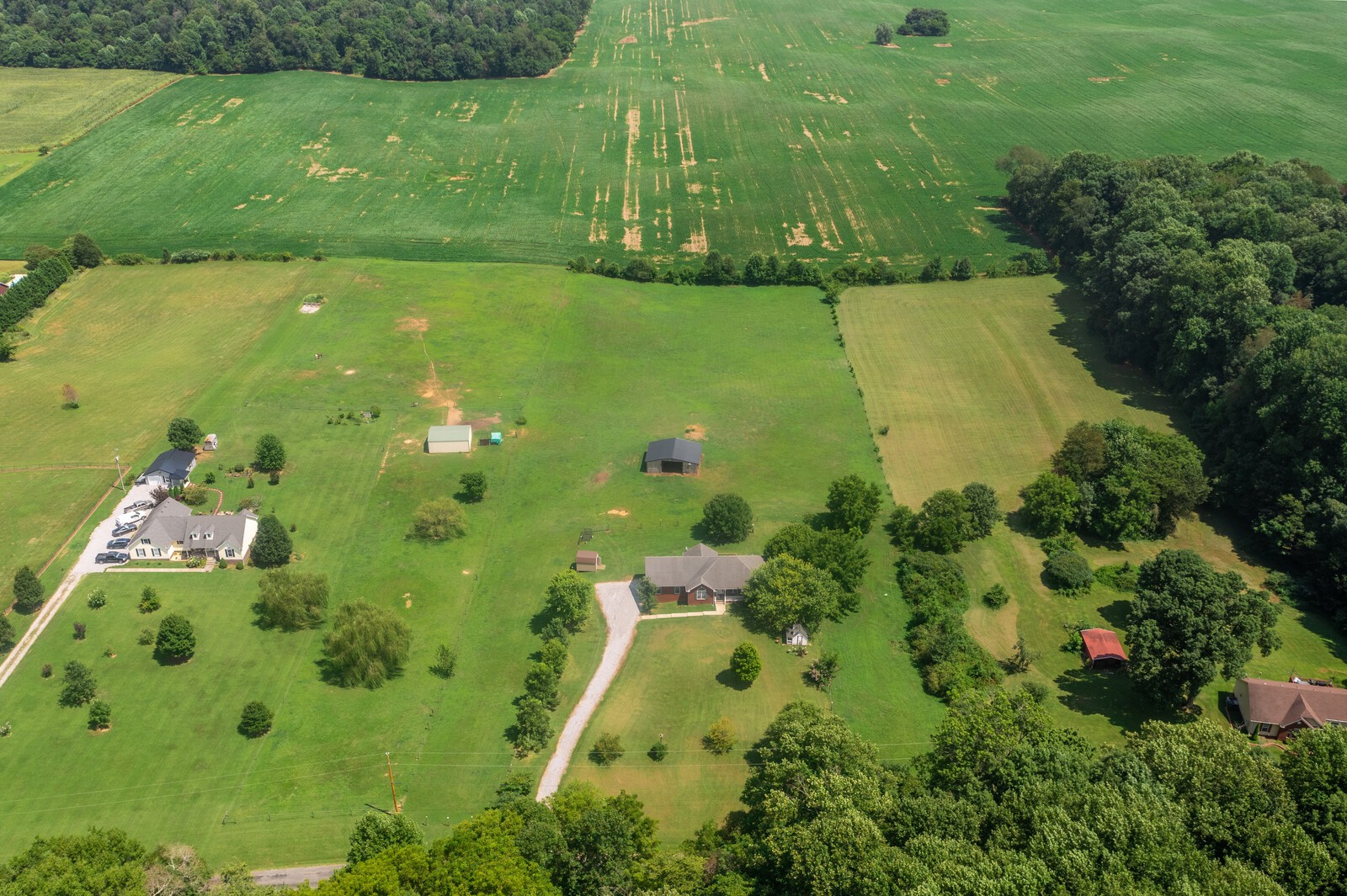 6159 H B Lee Road Springfield, TN 37172 - Photo 28 of 28 a view of a garden