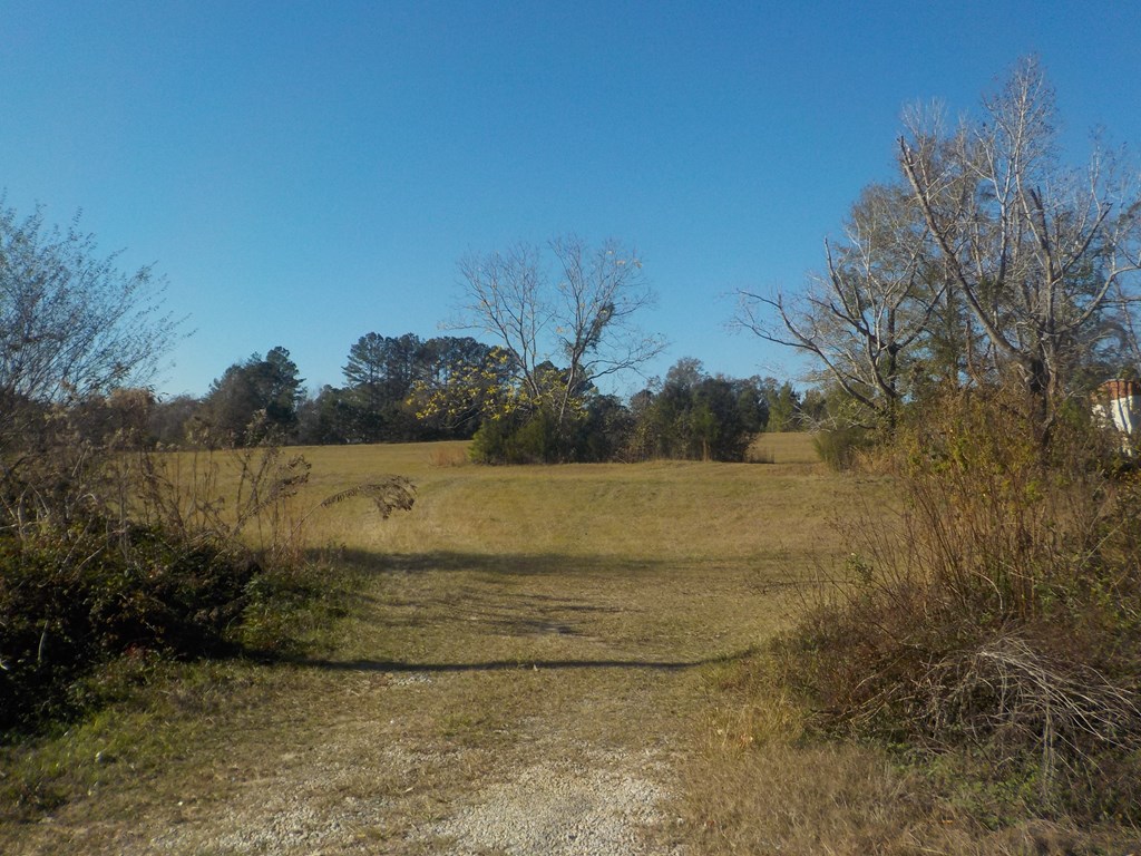 6904 South Cty Road Cottonwood, AL 36320 - Photo 6 of 23