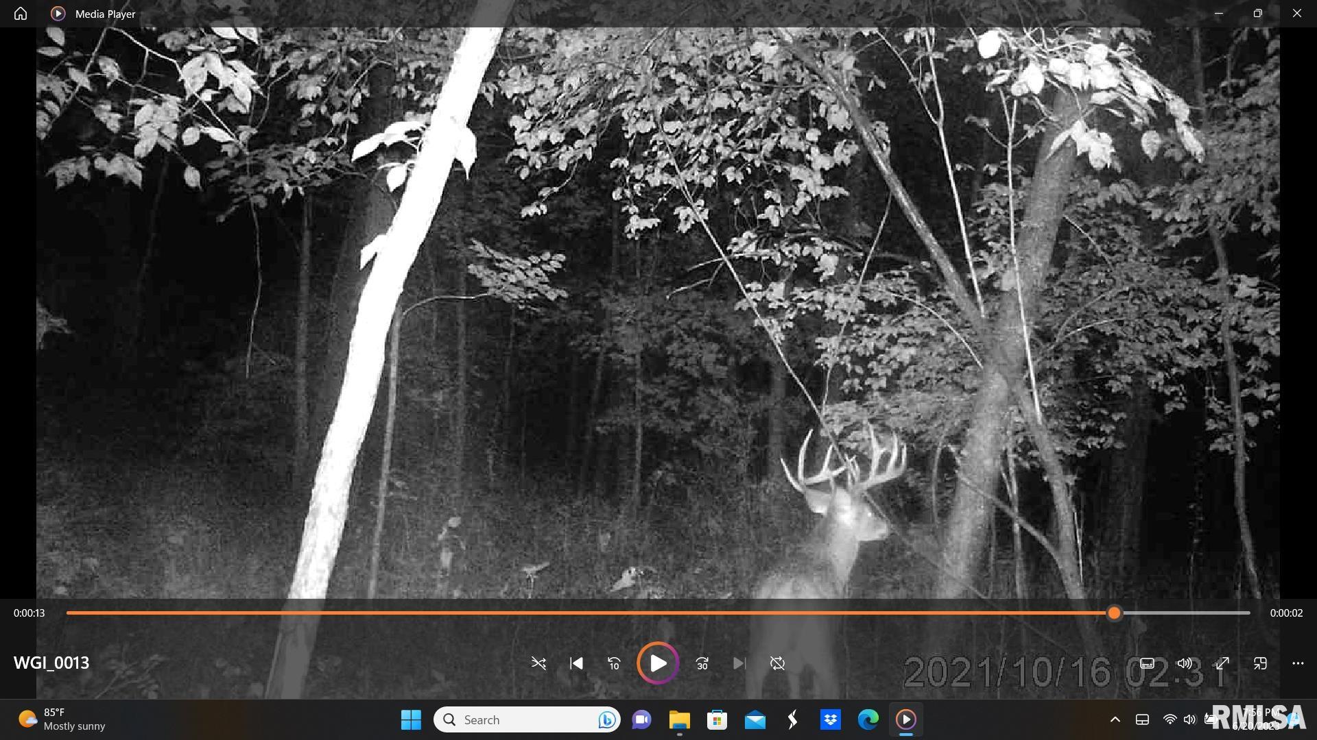 0 North Fox Road Marshall, IL 62441 - Photo 29 of 61 Gallery Image 29