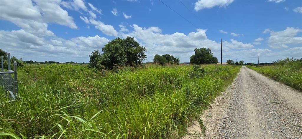 1155 County Road 1155 Road Bonham, TX 75418 - Photo 2 of 6 a view of a pathway both side of grassy field with shrub