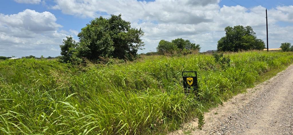 1155 County Road 1155 Road Bonham, TX 75418 - Photo 5 of 6