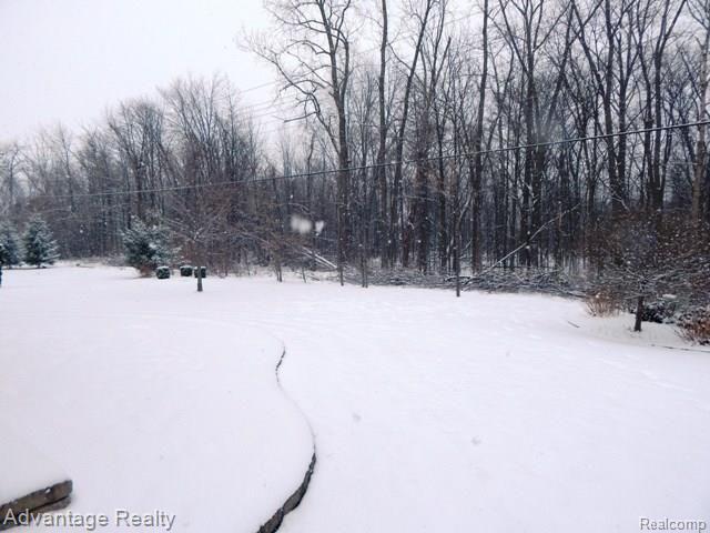49356 Monte Road New Baltimore, MI 48047 - Photo 25 of 26 DSCN1059.jpg