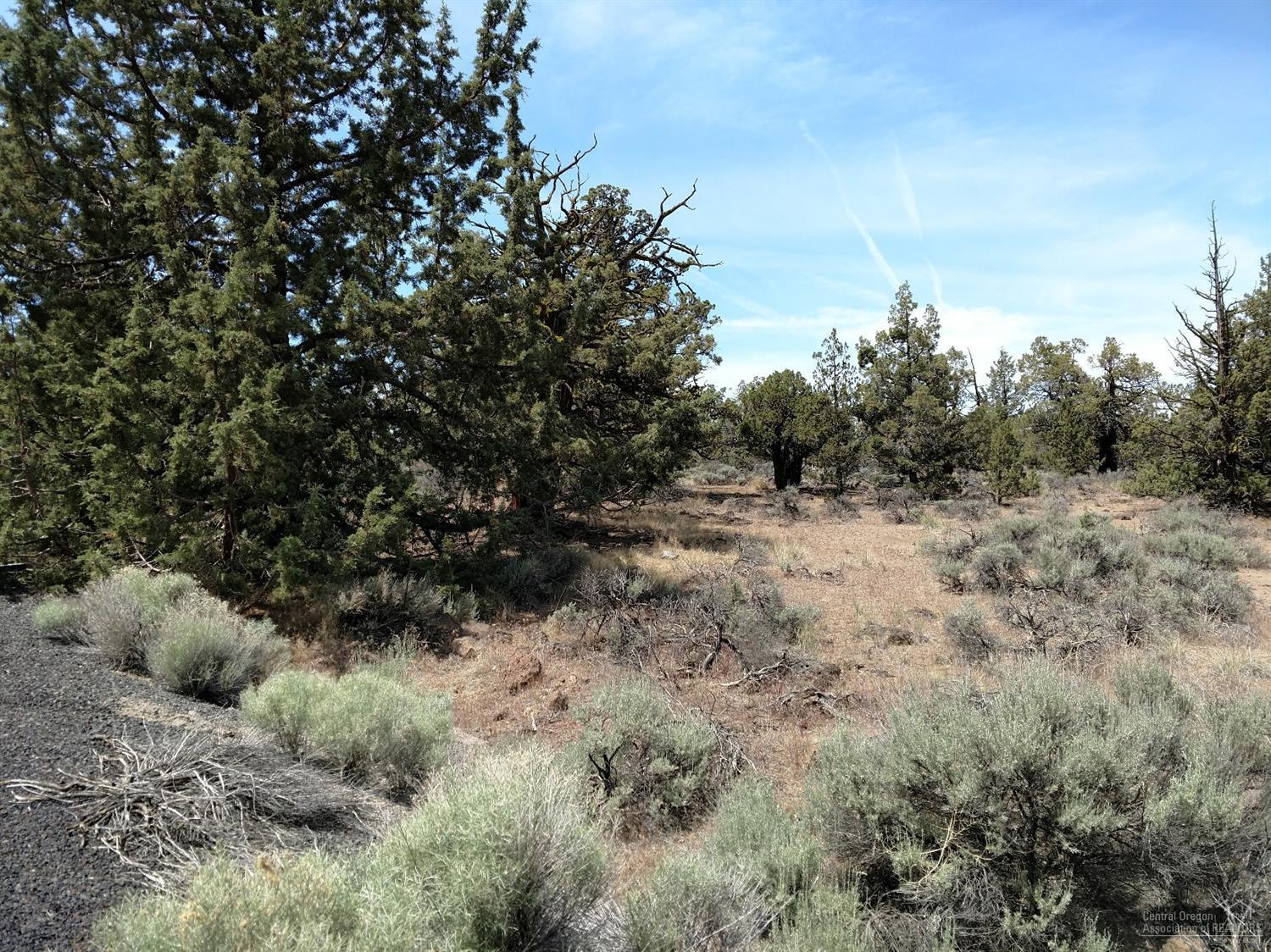 21110 Southwest Gift Road Bend, OR 97703 - Photo 3 of 8 Additional Photo