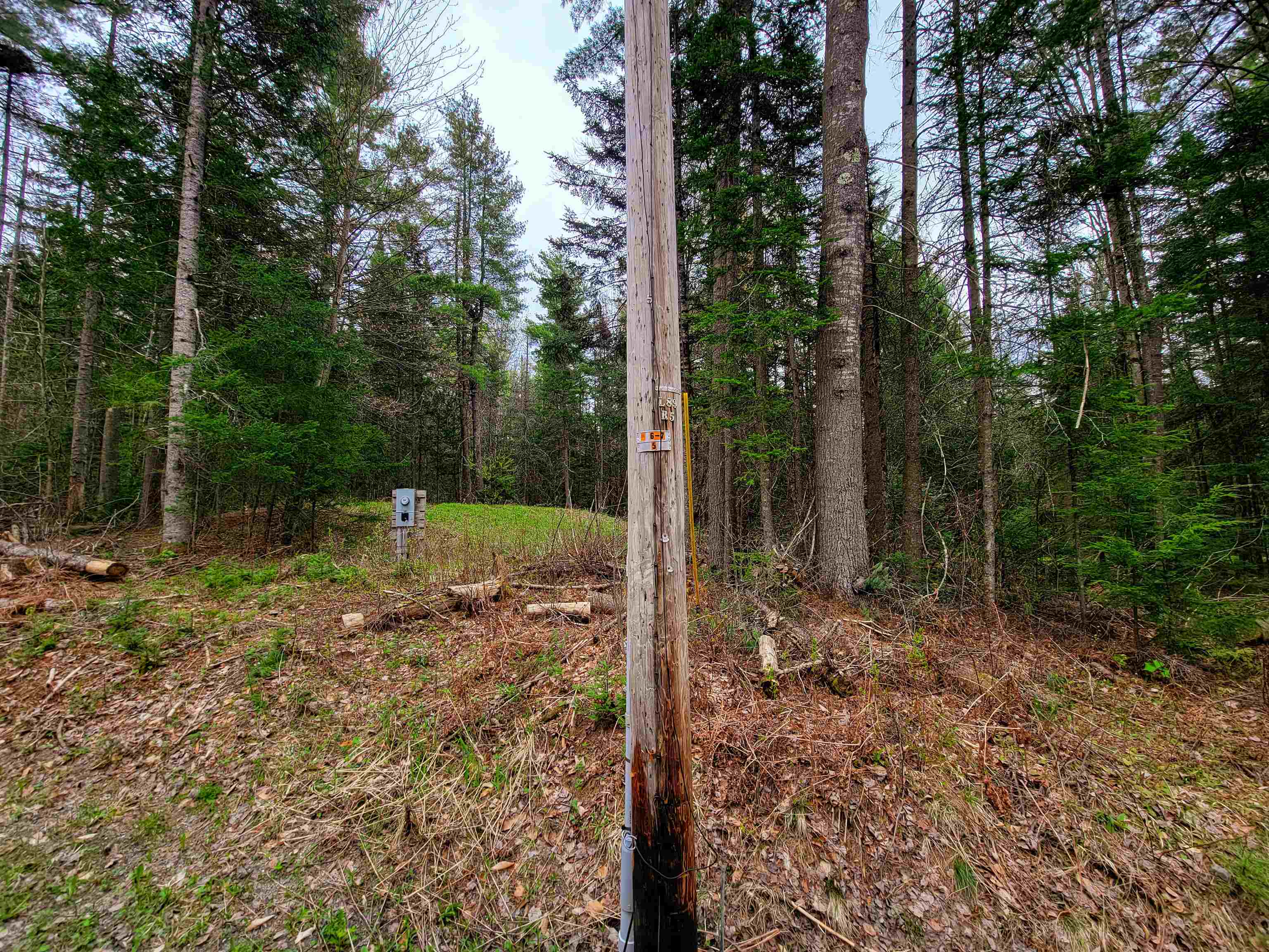 280 Guyette Road Plainfield, VT 05667 - Photo 33 of 38 Gallery Image 33