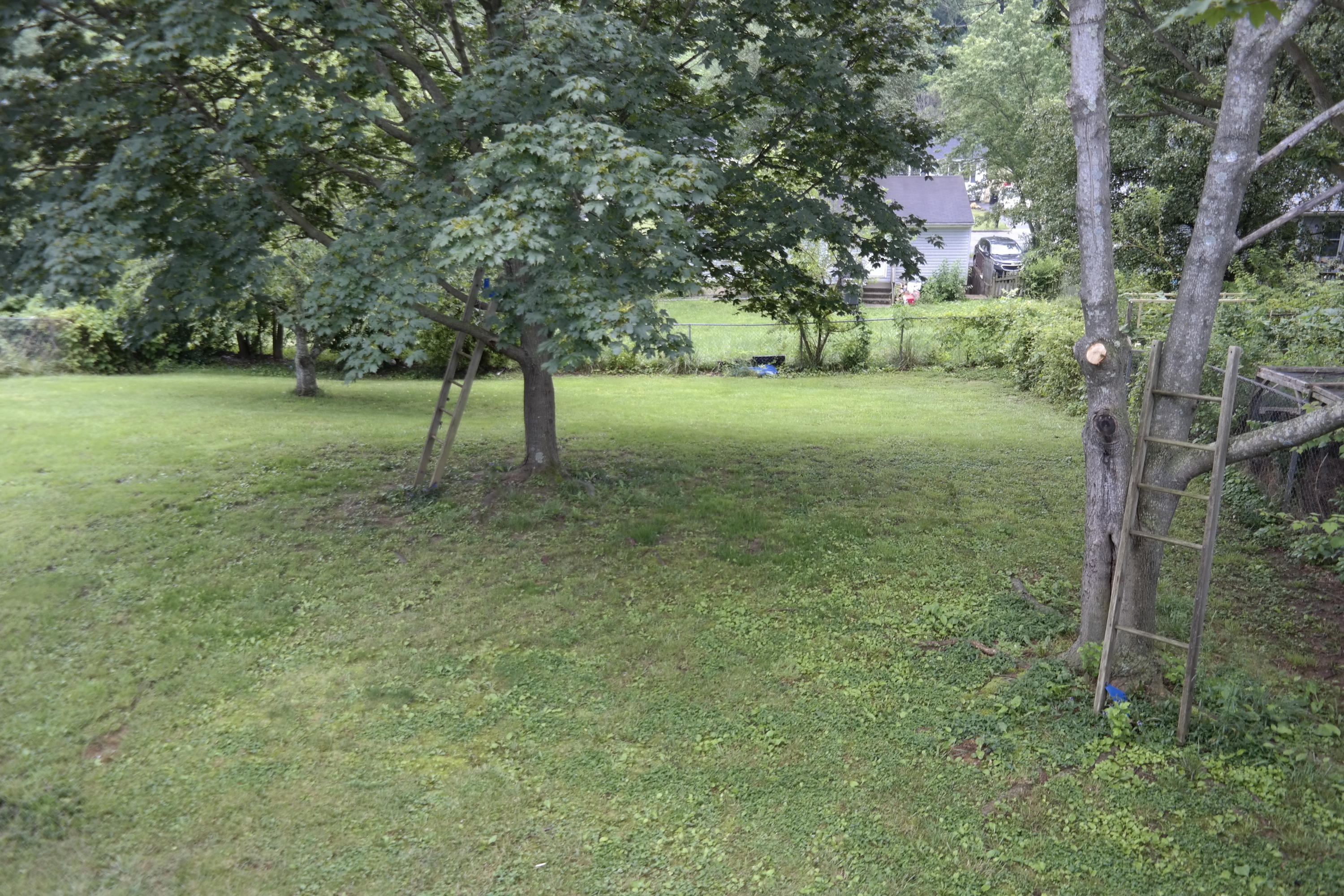 8320 Willow Ridge Road Roanoke, VA 24019 - Photo 22 of 23 _SAM5392