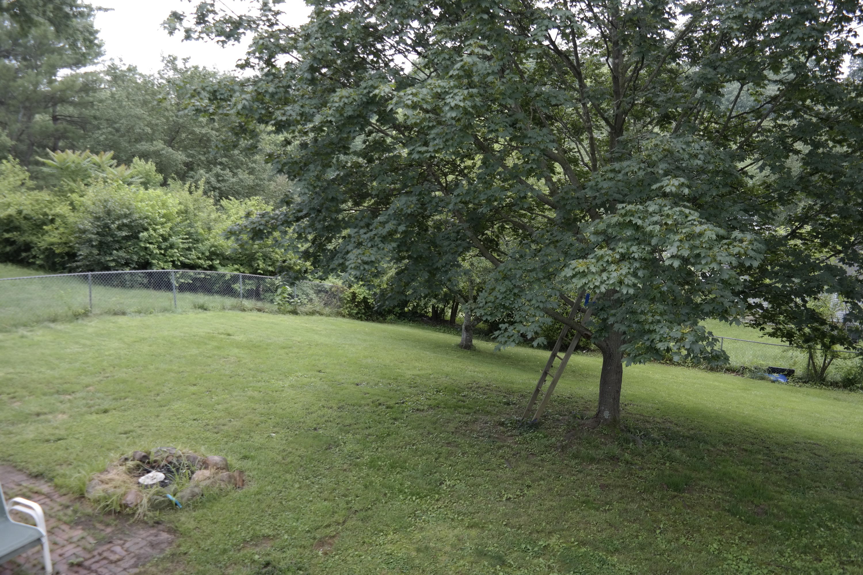8320 Willow Ridge Road Roanoke, VA 24019 - Photo 23 of 23 _SAM5393